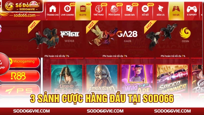 3 sảnh cược hàng đầu tại SODO66