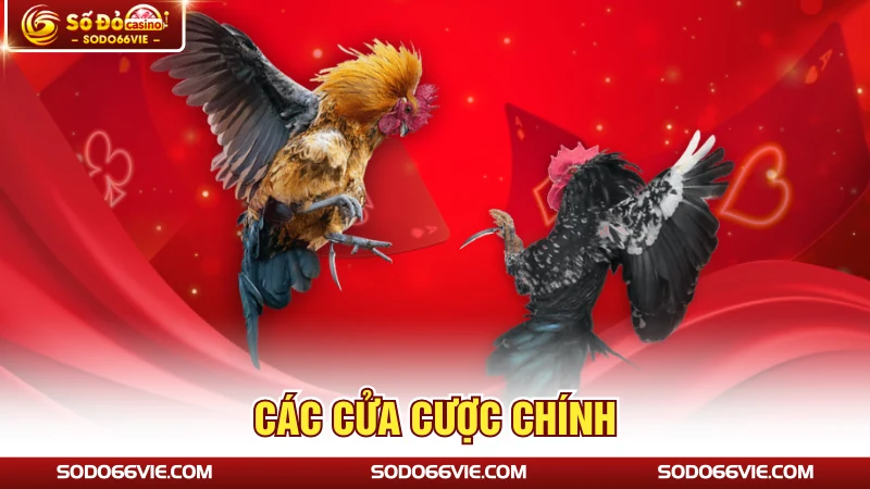 Các cửa cược chính
