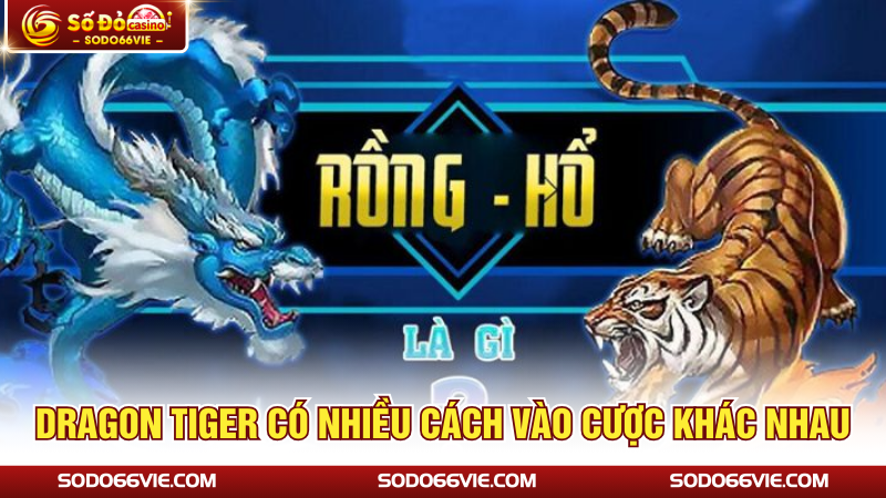 Dragon Tiger có nhiều cách vào cược khác nhau