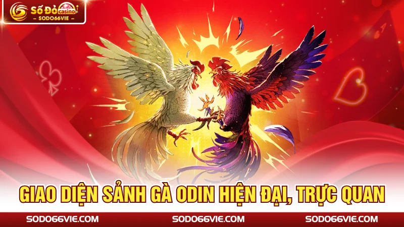 Giao diện sảnh gà ODIN hiện đại, trực quan