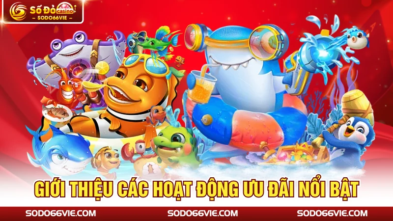 Giới thiệu các hoạt động ưu đãi nổi bật