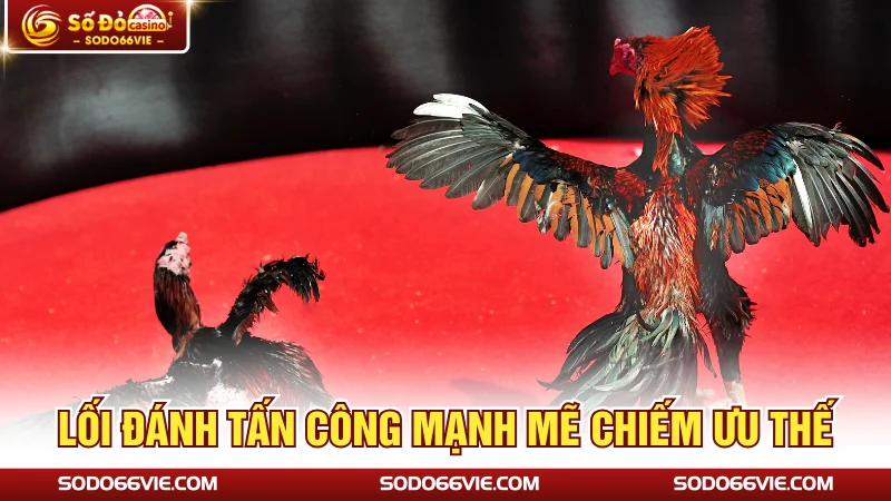 Lối đánh tấn công mạnh mẽ chiếm ưu thế