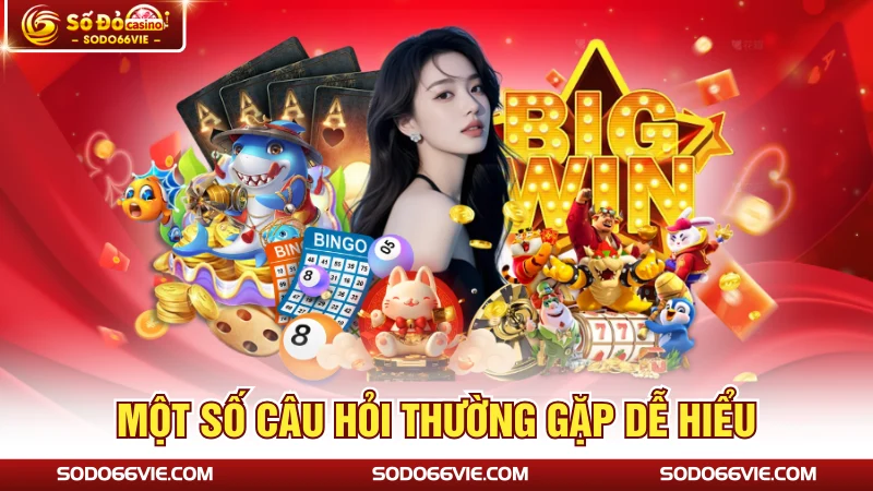 Một số câu hỏi thường gặp dễ hiểu