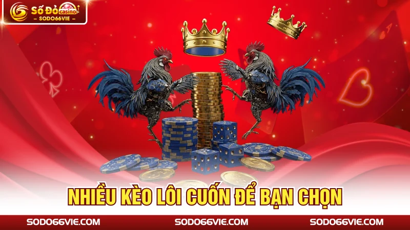 Nhiều kèo lôi cuốn để bạn chọn
