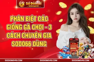 Phân Biệt Các Giống Gà Chọi - 3 Cách Chuyên Gia SODO66 Dùng