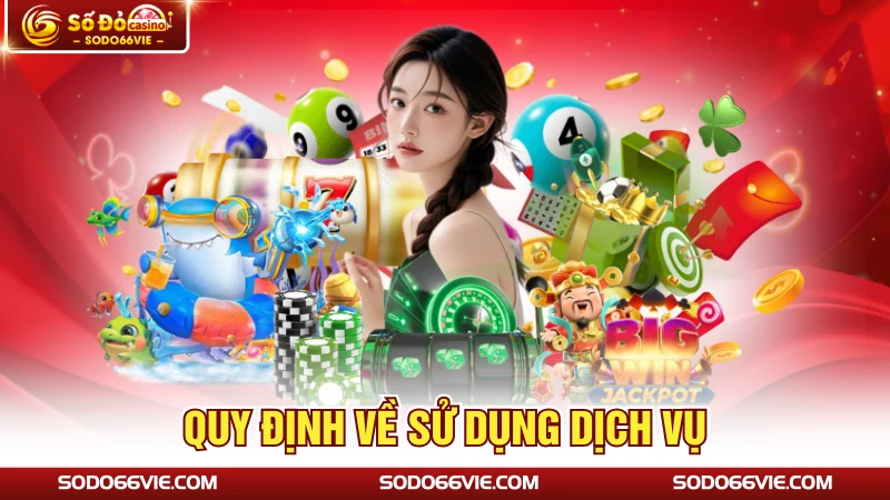 Quy định về sử dụng dịch vụ