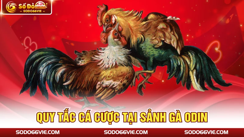 Quy tắc cá cược tại sảnh gà ODIN