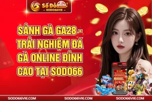Sảnh Gà GA28 - Trải Nghiệm Đá Gà Online Đỉnh Cao Tại SODO66