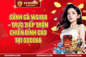 Sảnh Gà WS168 - Trực Tiếp Trận Chiến Đỉnh Cao Tại SODO66