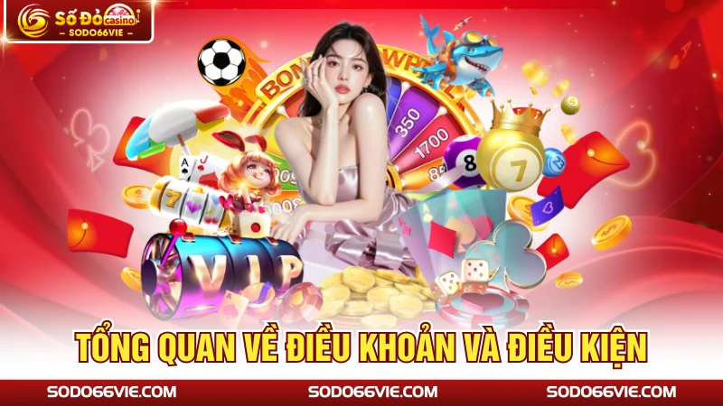 Tổng quan về điều khoản và điều kiện